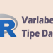 Mengenal Variabel dan Tipe Data di R